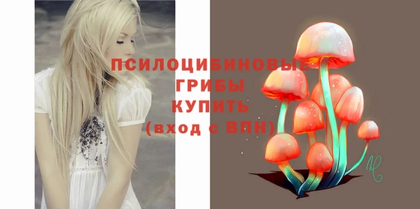 mix Абаза