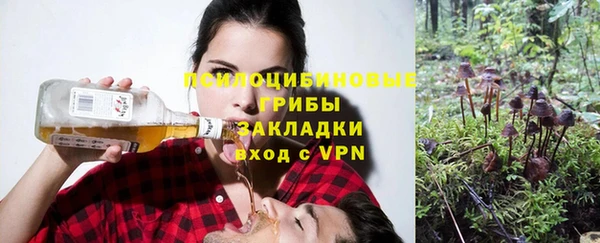 стаф Абдулино